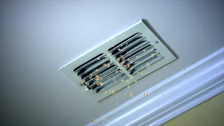 Best Professional Duct Cleaning Services  in Allardt, TN